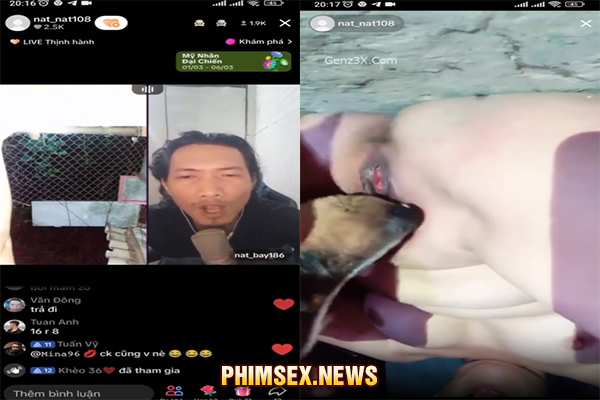 Clip sex chó Live Tiktok Thua Kèo Phải Cho Chó Chơi