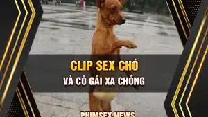 Clip sex chó và cô gái xa chồng