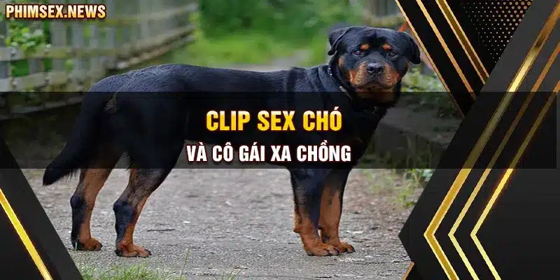 Clip sex chó và cô gái xa chồng